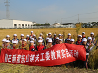 渡口闻稻香，田园探新知——莫厘实验小学关工委“庆丰收”主题活动